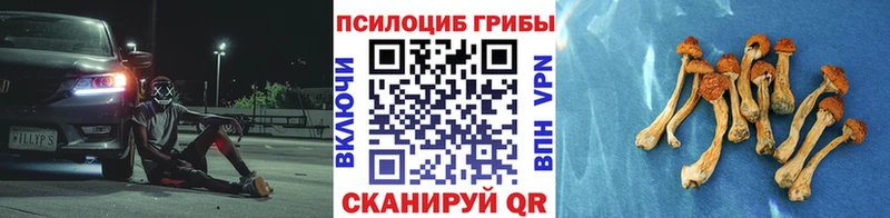 Галлюциногенные грибы Magic Shrooms  Сураж 