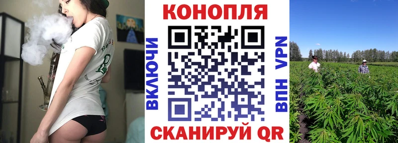 даркнет сайт  Сураж  shop телеграм  Канабис THC 21%  блэк спрут как войти 